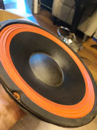 Altavoces 12"  Negro y Naranja (2 unidades)