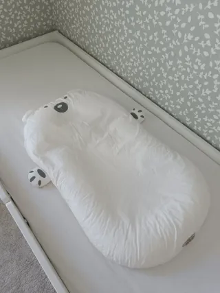 Nido reductor Pikabü Starlit