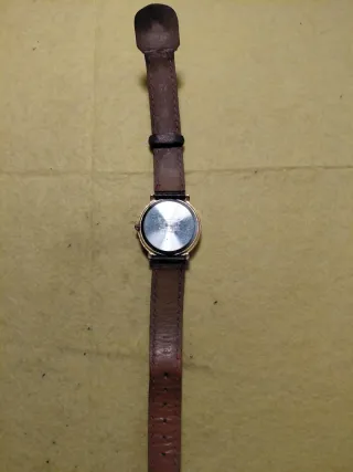 Reloj Casio Cuarzo Dorado y Negro