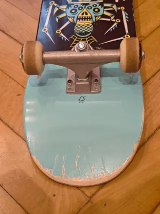 Decathlon Skate con design di ragno