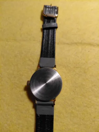 Reloj WACTH & Co Dorado y Gris