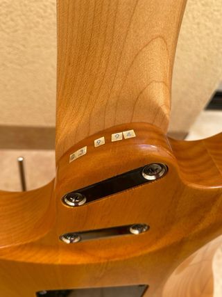Guitarra Eléctrica Yamaha RGX-421D