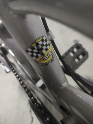 Bicicleta Plegable Easy Bike 3