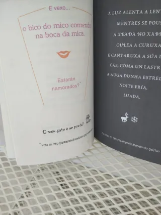 O meu gato é un poeta