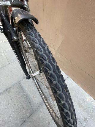 Bicicleta Pinnacle Cobalt Hibrida/Mountain Bike M