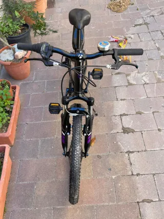 Bicicleta Trek Procaliber 20”