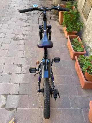 Bicicleta Trek Procaliber 20”