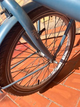 Bicicleta Alpine Holandesa Niña Azul