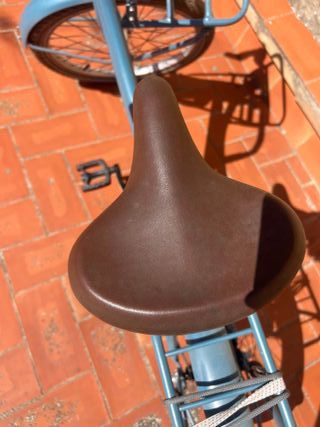 Bicicleta Alpine Holandesa Niña Azul