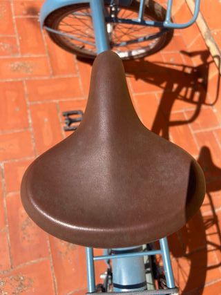 Bicicleta Alpine Holandesa Niña Azul