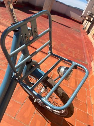 Bicicleta Alpine Holandesa Niña Azul
