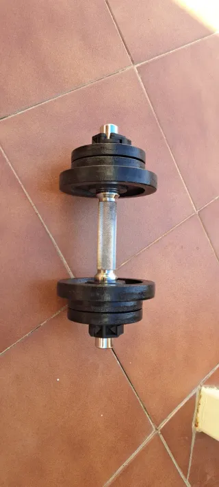 Mancuernas ajustables con discos