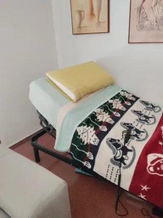 Cama articulada con mando
