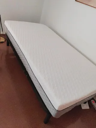 Cama articulada con mando