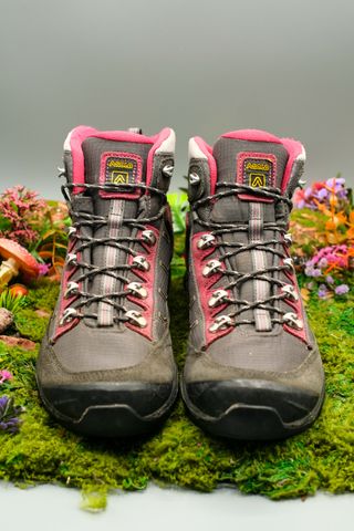 Scarpe Asolo Falcon Gtx Evo Donna 39 | Trekking