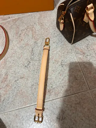 Borsa Louis Vuitton Speedy 20 Monogram