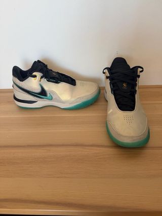 Nike LeBron NXXT Gen AMBP Ed. Especial