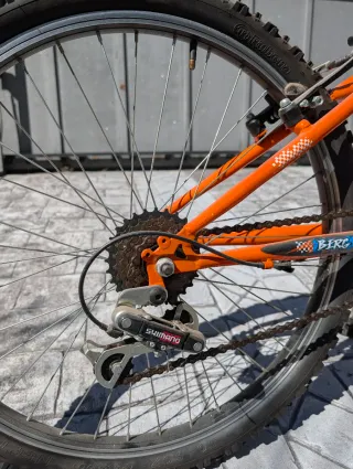 Bicicleta Junior Berg Blast 243 Naranja