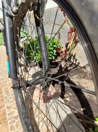 Bicicleta Orbea Mx24 Negra