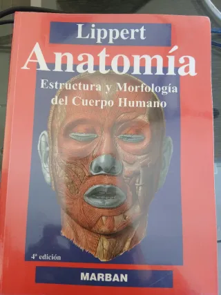 Libros de fisioterapia