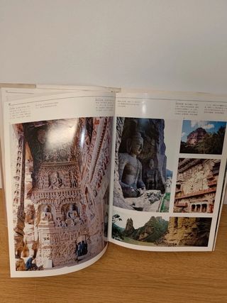 Libro chino gran formato dragón arquitectura templos ISBN 7800240002 Edición Cartoné