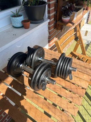 Mancuernas y discos Domyos