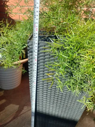 Macetero alto ratán negro/gris