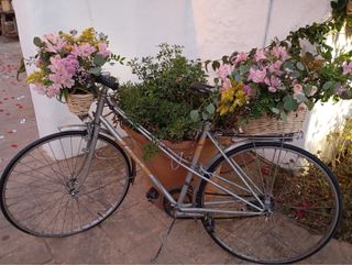 Bicicleta Gacela BH Vintage