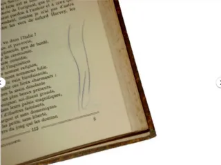 libro antico Voltaire philosophie volume rilegato