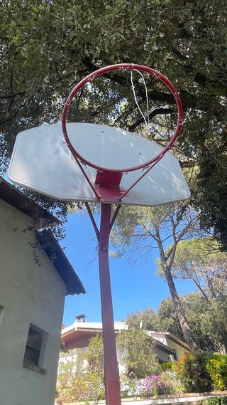 Canasta de baloncesto con base y ruedas