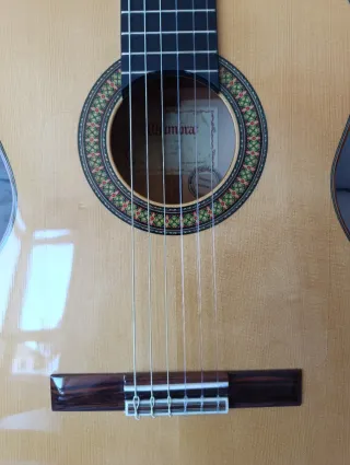 Guitarra Flamenca Alhambra 7 fc.