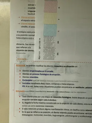 Impresora Epson XP-635 Expression Premium