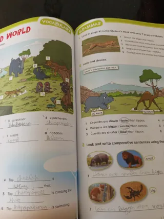 Libro 5 de primaria de inglés