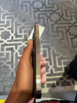 iPhone 13 Pro Plateado 256gb y 89%