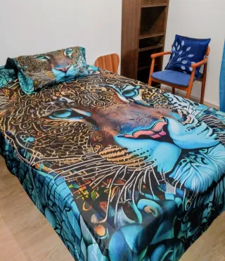 Habitaciones Estudiantes, Erasmus o Funcionarios.