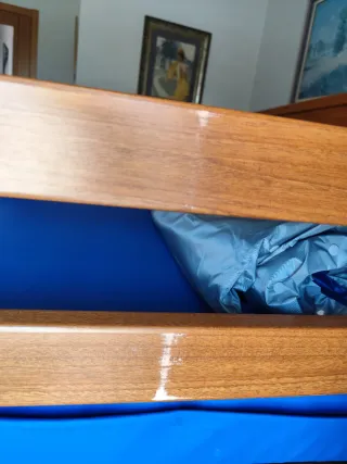 Cama geriátrica articulada con elevación + coclhón