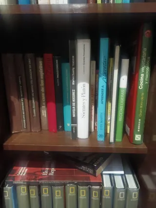 Lote Libros 1€ cada uno