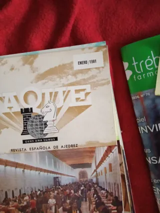 Lote de 18 revistas de Ajedrez Jaque