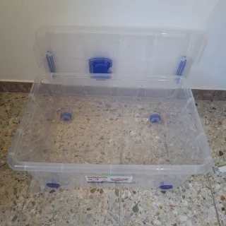 Due scatole di plastica per l'archiviazione