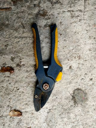 Tijera de podar manual Norbest pequeña