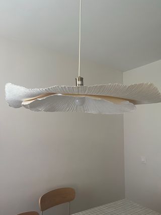 Lámpara Techo Zara Home Grande