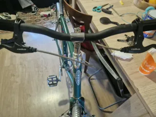 Bicicleta Electra Single Speed