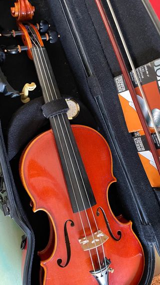 Violín profesional