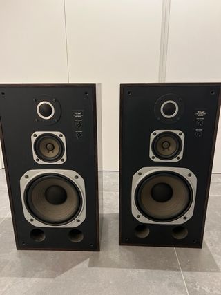 2 Altavoces TEAC SX-550 Negros