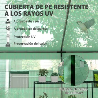 Invernadero Túnel 6x3x2,8m con 6 Ventanas