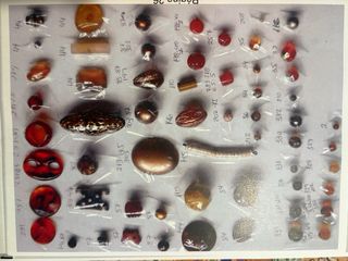 Lote de Bisutería Variada