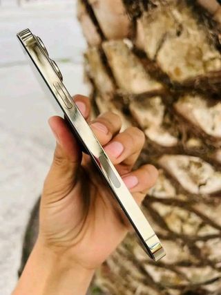 iPhone 13 Pro Max Oro