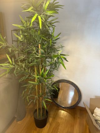 Pack Muebles Salón y Televisión