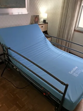 Cama articulada eléctrica Gerialift (Llit elèctric
