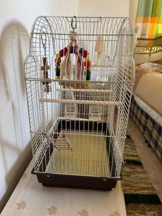 Gabbia per uccelli con accessori